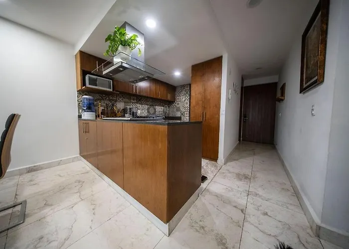 Appartement Luxury 2br Condesa Rooftop Pool Walk Roma Mexico